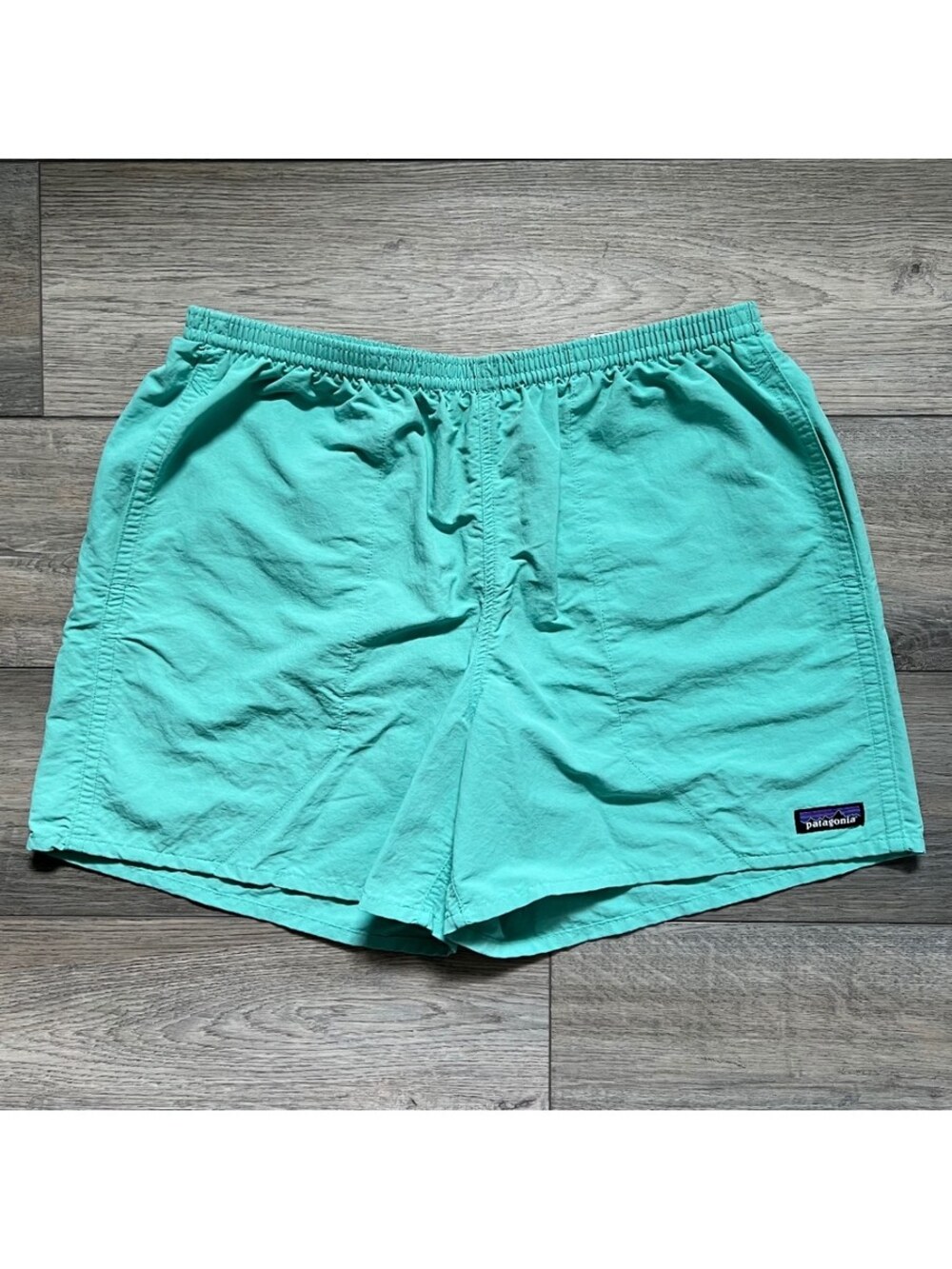 Patagonia Men's L Baggies Shorts Turquoise Nylon Netplus Shell Mesh Lined
